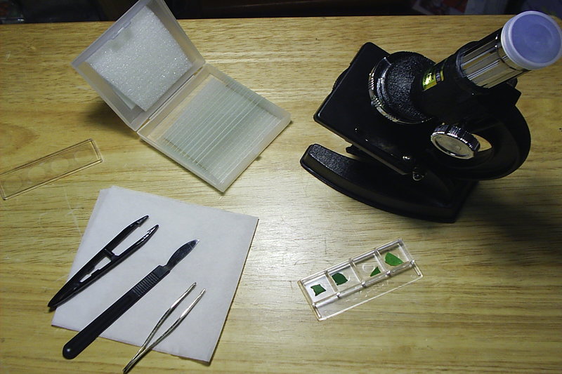  Belajar Kisi-Kisi Ujian Nasional Biologi