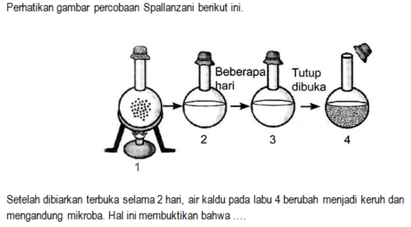 Bingung Mau Belajar Apa Buat UN Biologi SMA? Yuk, Atur Skala Prioritas Belajarmu!