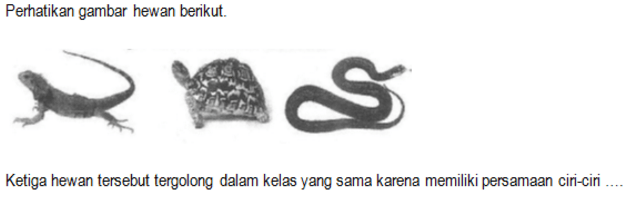 Bingung Mau Belajar Apa Buat UN Biologi SMA? Yuk, Atur Skala Prioritas Belajarmu!