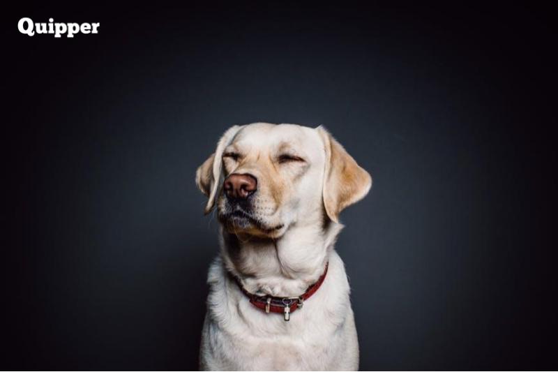 Ayo Kenali Direct dan Indirect Speech Untukmu, Calon Jurnalis!