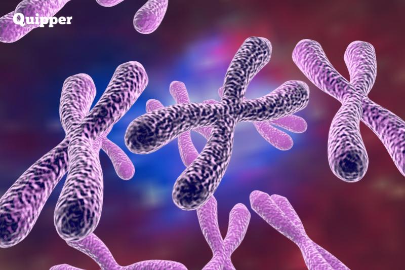 Cara Cepat dan Tepat Belajar Mutasi