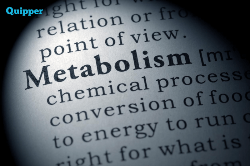 Yuk, Kenalan dengan Metabolisme!