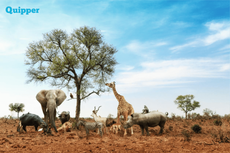 Belajar Materi Klasifikasi Makhluk Hidup, Yuk!