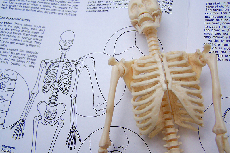 Soal UTS Biologi Kelas X