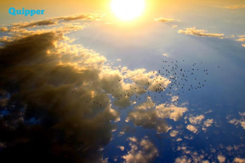 Yuk, Simak Contoh Soal UTS Geografi SMA Kelas XI tentang Biosfer dan Pembahasannya Ini!