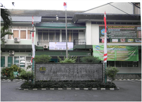 Mau Tahu Jurusan Apa Saja yang Ada di Universitas Lampung? Berikut Informasinya!