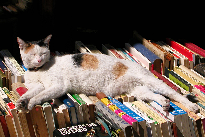 Kata Siapa Jurusan Sastra Tak Punya Masa Depan?