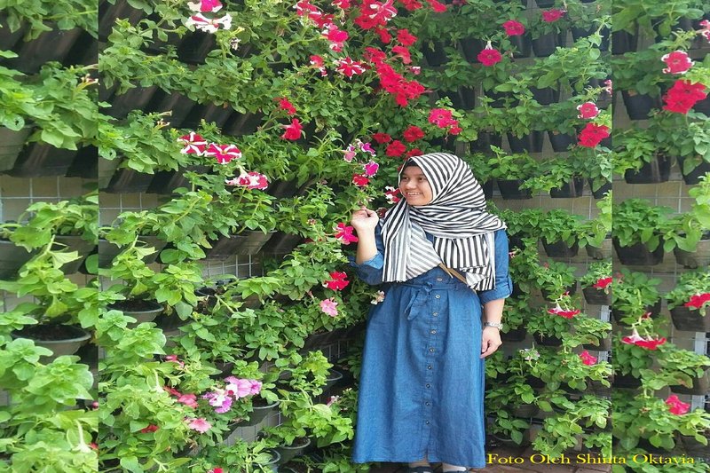 Mengenal Shinta Oktavia, Alumni UNJA Berprestasi