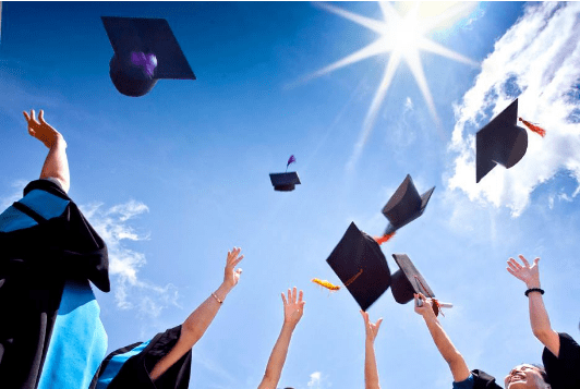 Apa Aja Sih Beasiswa di Universitas Tadulako? Berikut Informasi Lengkapnya!