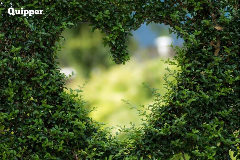 5 Tips Ide Hidup Go Green untuk Proses Belajar Lebih Baik