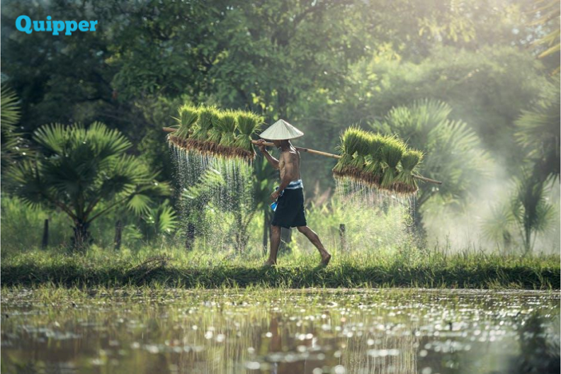 Pembahasan Mengenai Stratifikasi Sosial Kontemporer
