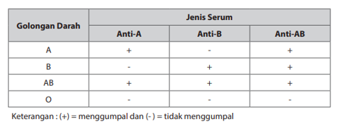 Manusia jenis darah Fungsi Darah