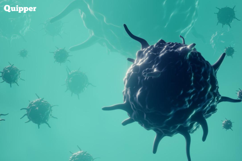 Reproduksi Bakteri - Biologi Kelas 10