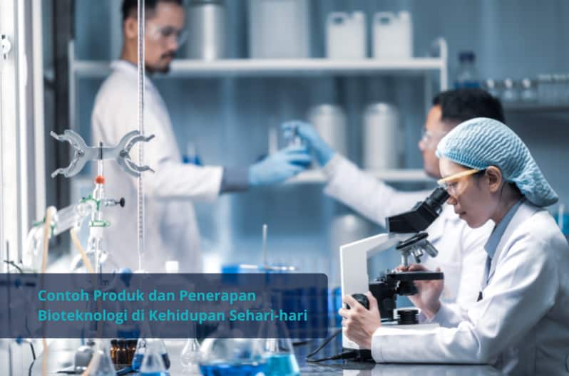 contoh bioteknologi modern dan konvensional
