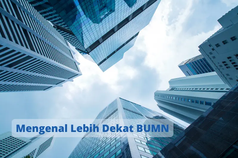 bumn adalah