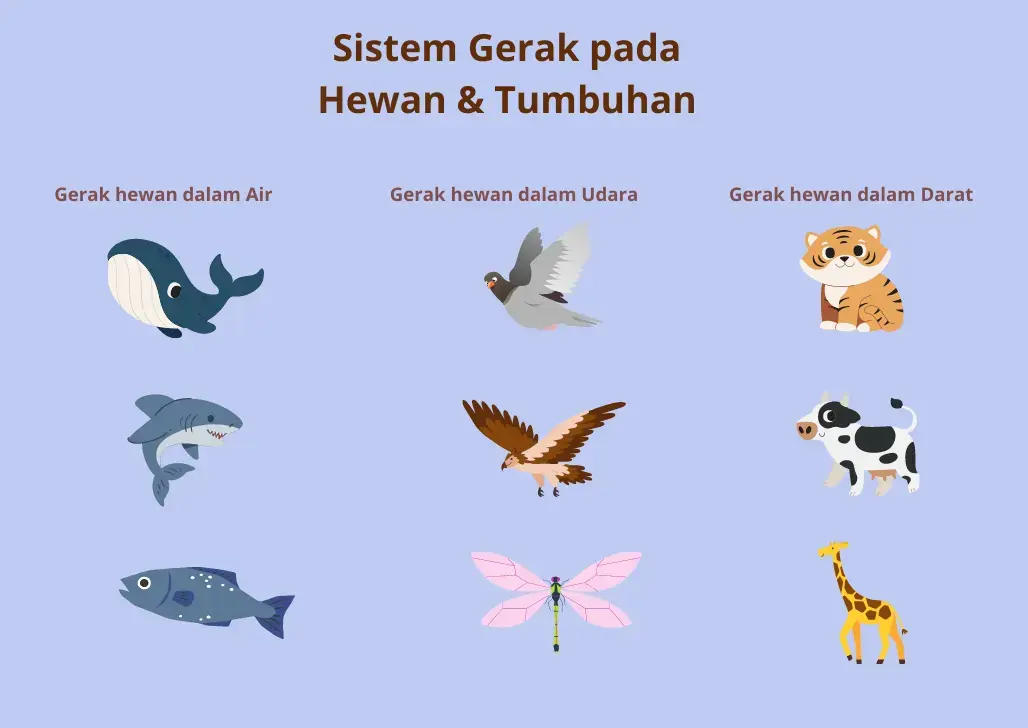 Apa Perbedaan Antara Gerak Hewan dengan Gerak Tumbuhan