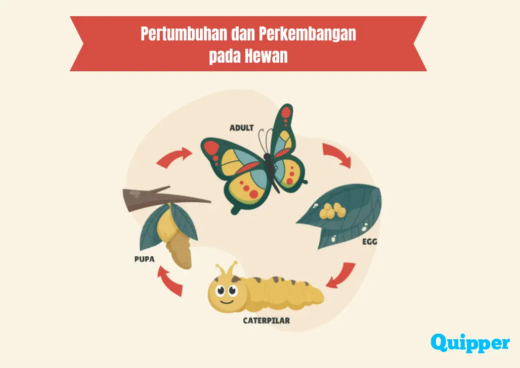 Pertumbuhan dan Perkembangan pada Hewan