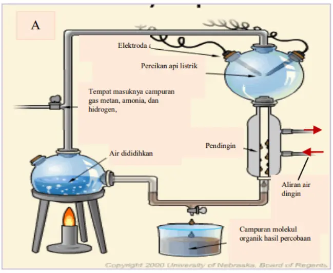 Teori Evolusi Kimia (Neobiogenesis)