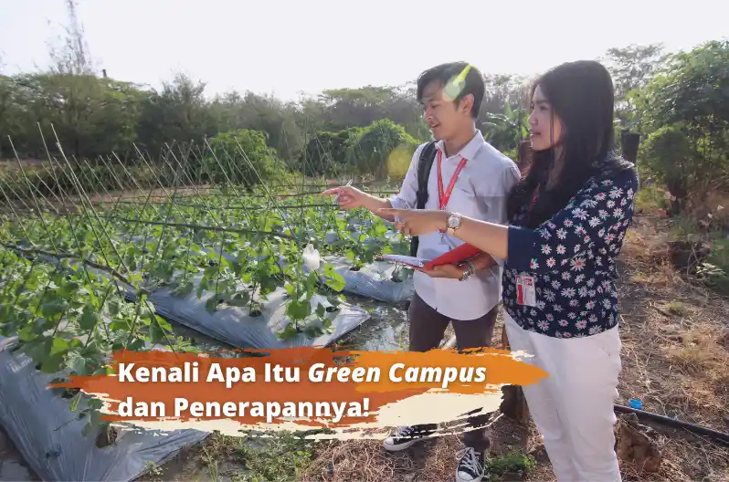 apa itu green campus